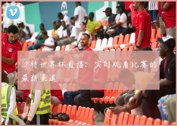 沙特世界杯直播：实时观看比赛的最新渠道