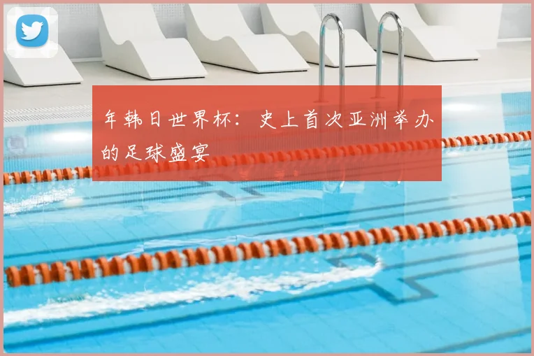 年韩日世界杯：史上首次亚洲举办的足球盛宴