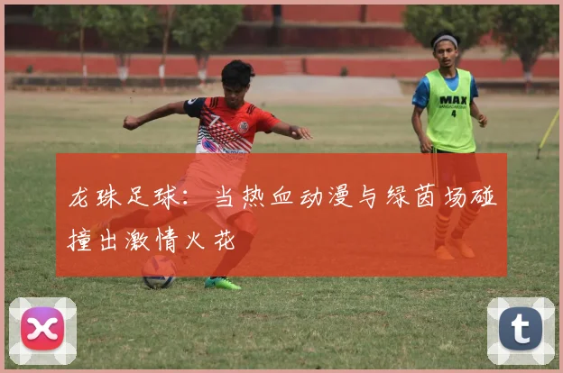 龙珠足球：当热血动漫与绿茵场碰撞出激情火花