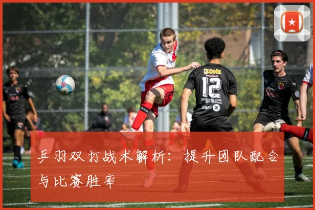 乒羽双打战术解析:提升团队配合与比赛胜率