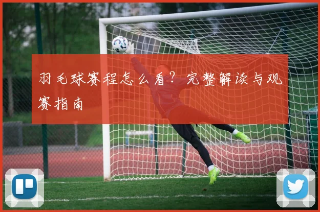 羽毛球赛程怎么看？完整解读与观赛指南